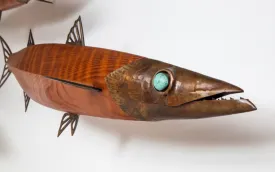 Barracuda