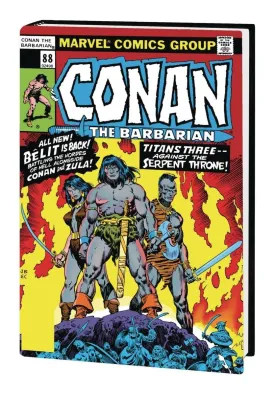 Conan The Barbarian: The Original Marvel Years Omnibus HC Vol. 4 DM Variant *OOP*