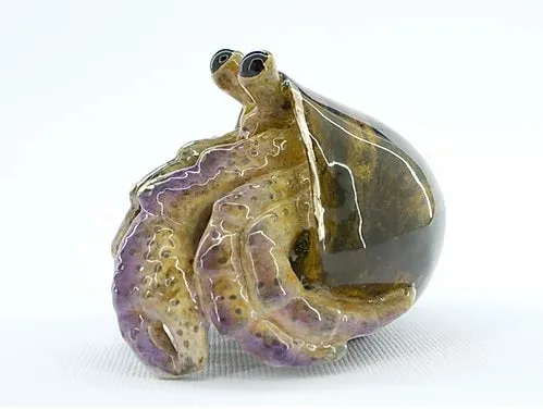 Hermy, bronze hermit crab