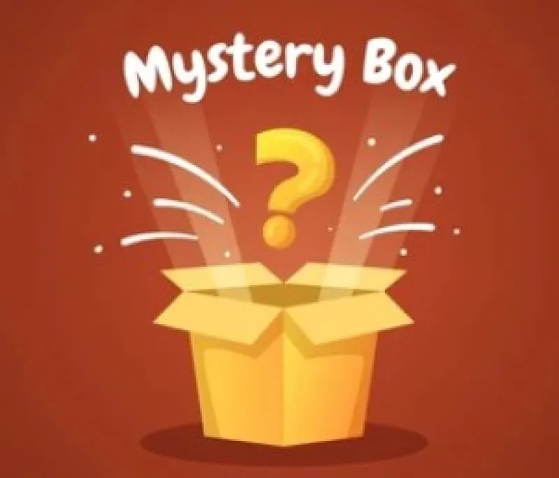 Mystery Box (dress, jewelry, electronics, toys, etc.)