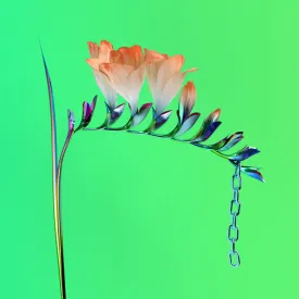 SKIN COMPANION EP I (12 LP) - FLUME
