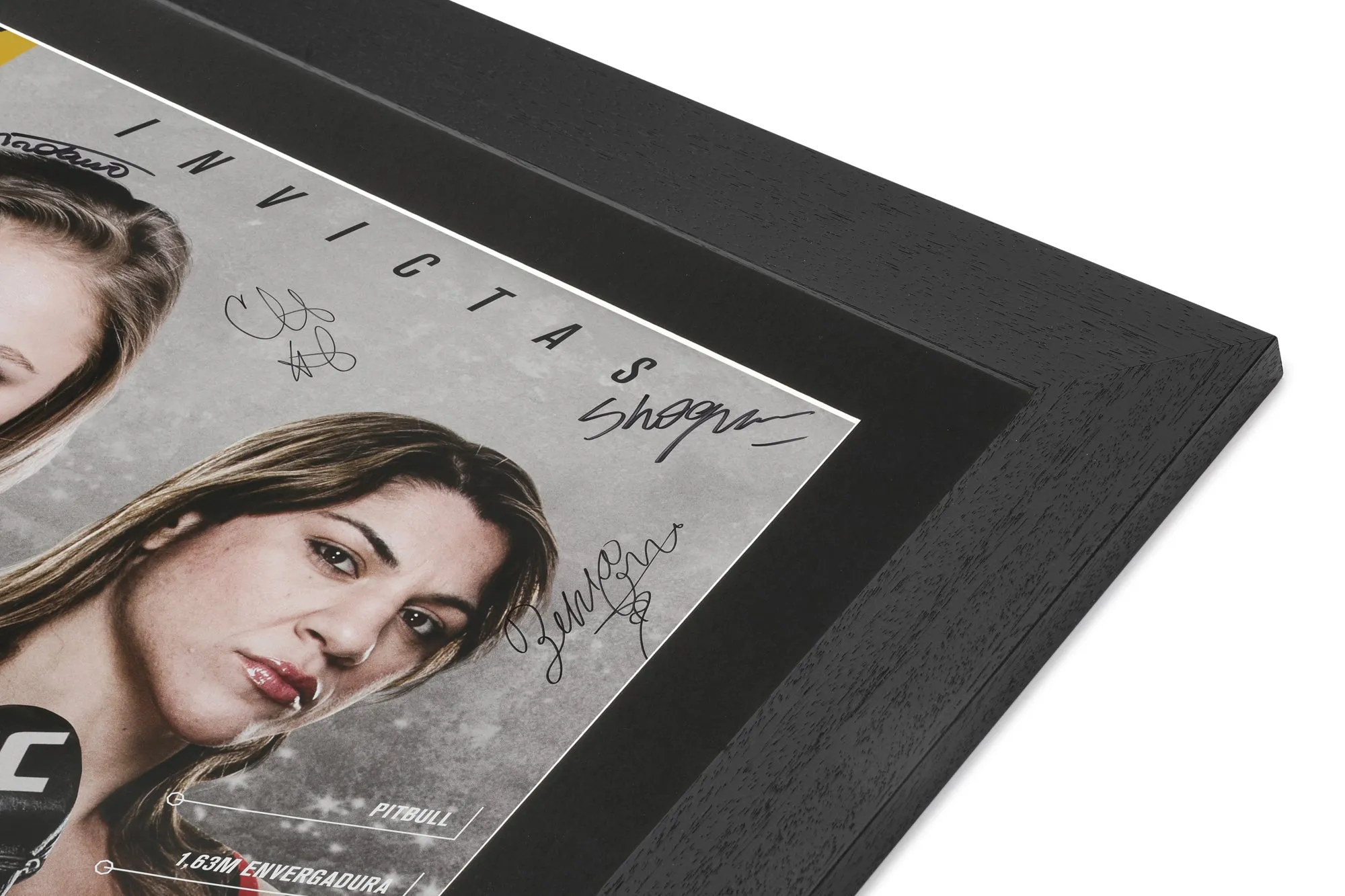 UFC 190: Rousey vs Correia Autographed Event Poster